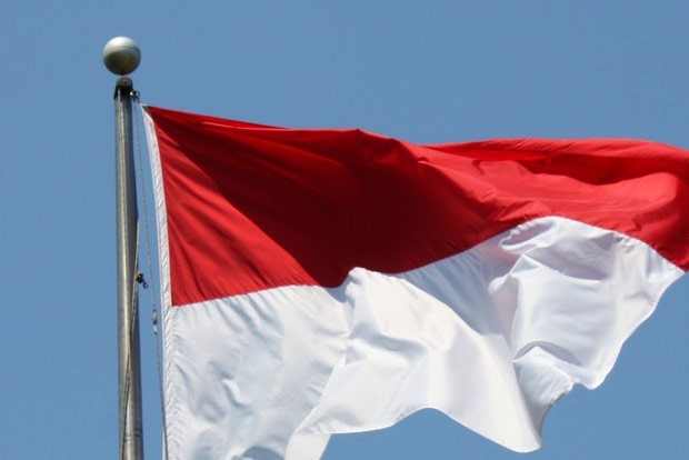 Protests at Indonesia’s New Nickel Hub; Eight arrested