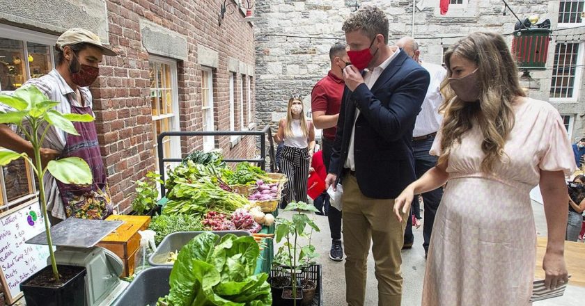 N.S. Liberal leader faces barrage of criticism over ousting of young female candidate