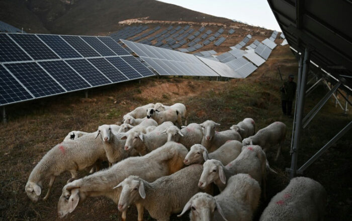 Human cost of China’s green energy rush ahead of Winter Olympics